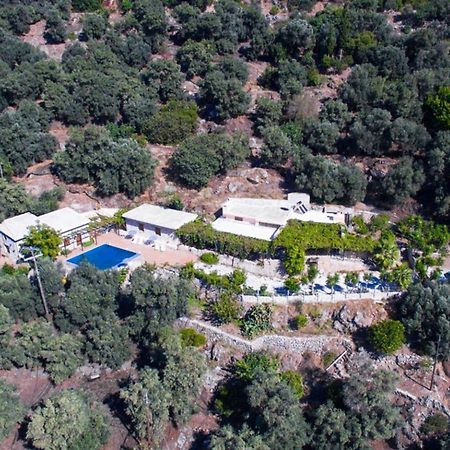 Villa Talos باليوخورا المظهر الخارجي الصورة